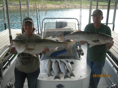 Nice Striped Bass